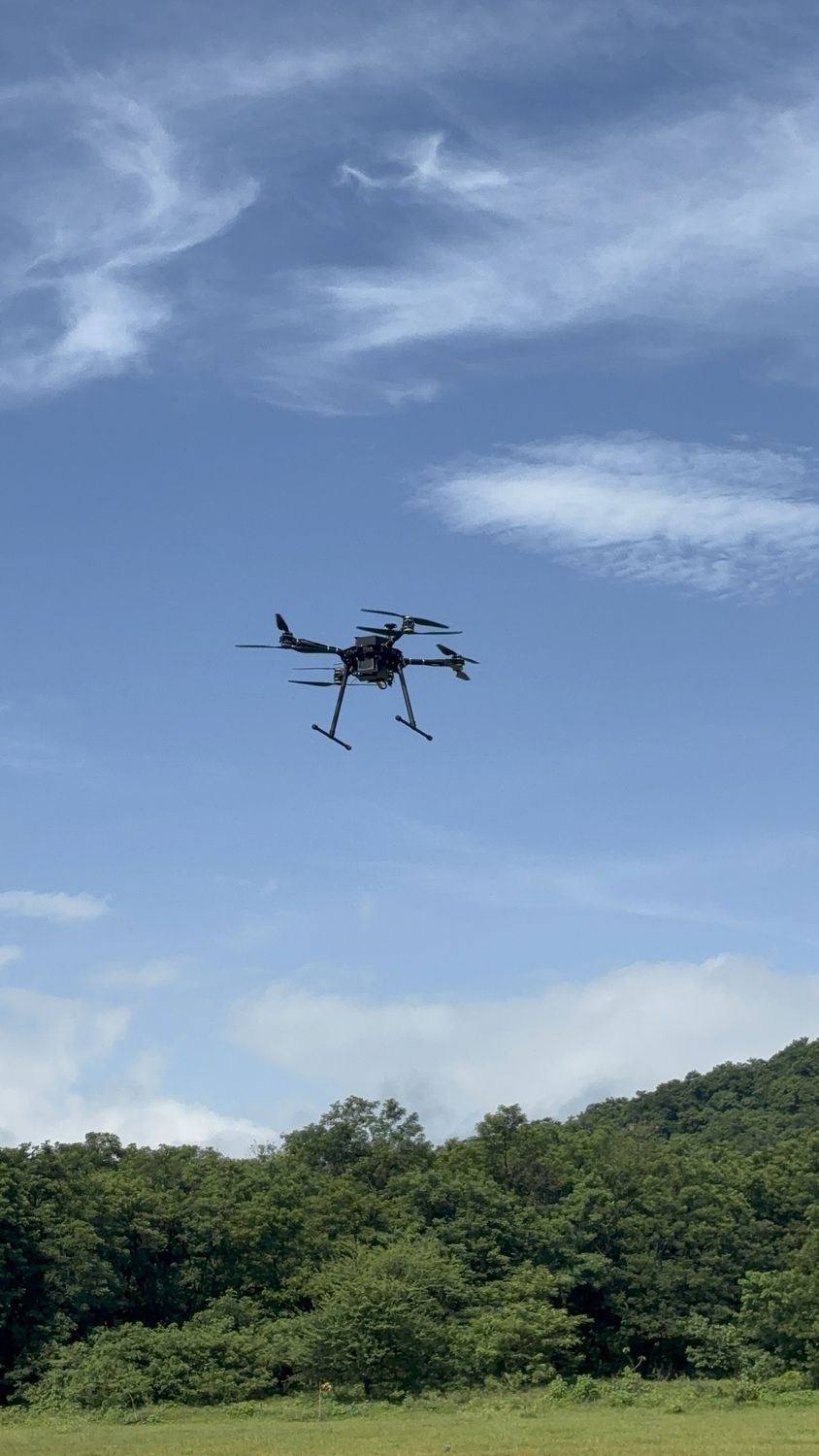 Low-altitude pass along the tree line